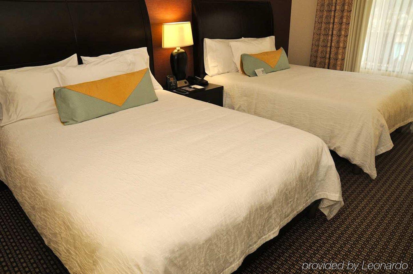 Hilton Garden Inn New Braunfels Oda fotoğraf
