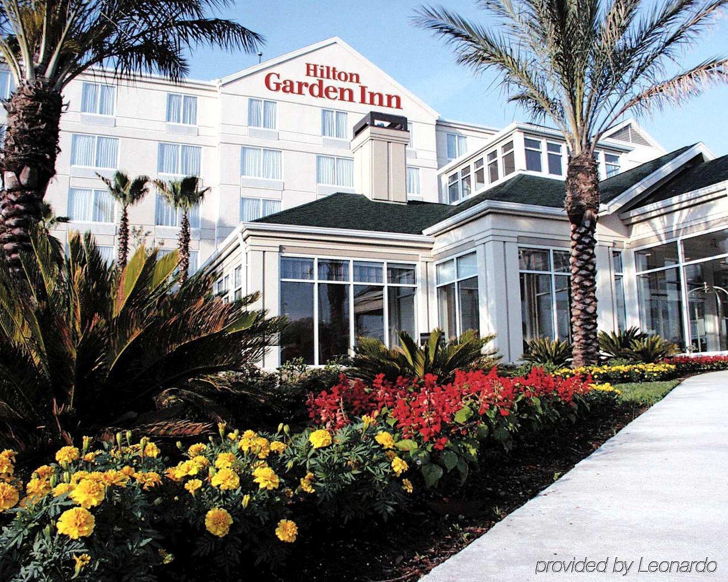 Hilton Garden Inn New Braunfels Dış mekan fotoğraf